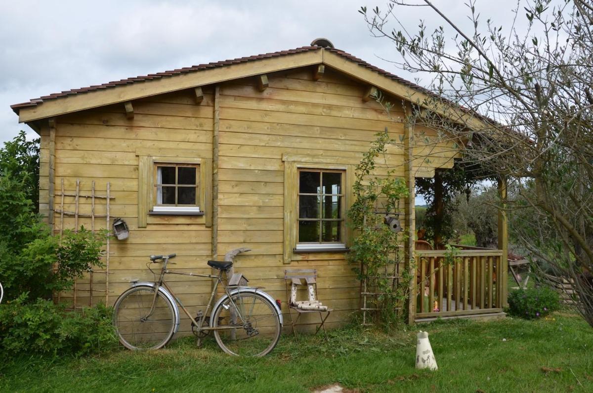 Chalet Bois Pleine Campagne A Pontigny Exteriér fotografie